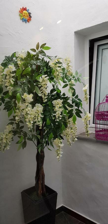 Charme De Monsaraz Villa ภายนอก รูปภาพ